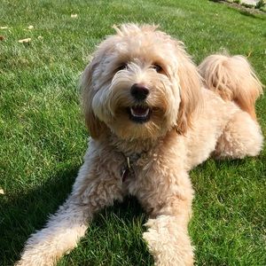 Meet your Posher, Hillary